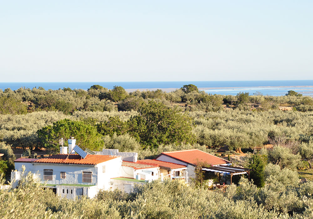 Vue méditerranéenne, finca rustica en Espagne